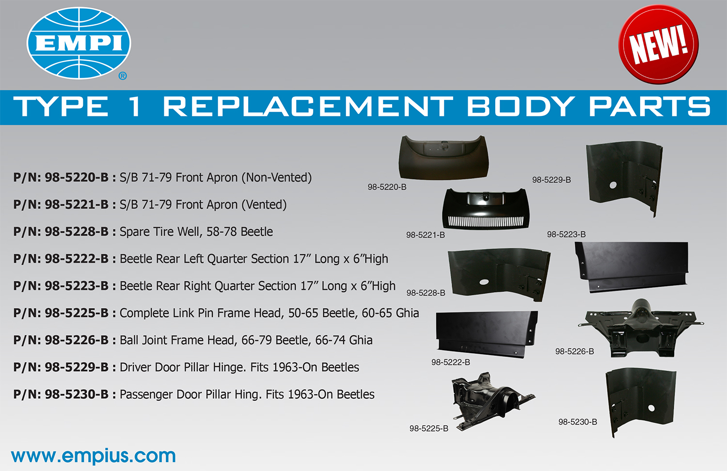 Type 1 Body Replacement
