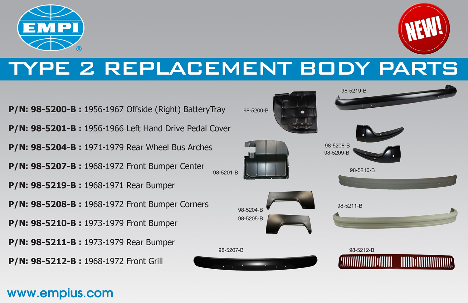 Type 2 Body Replacement
